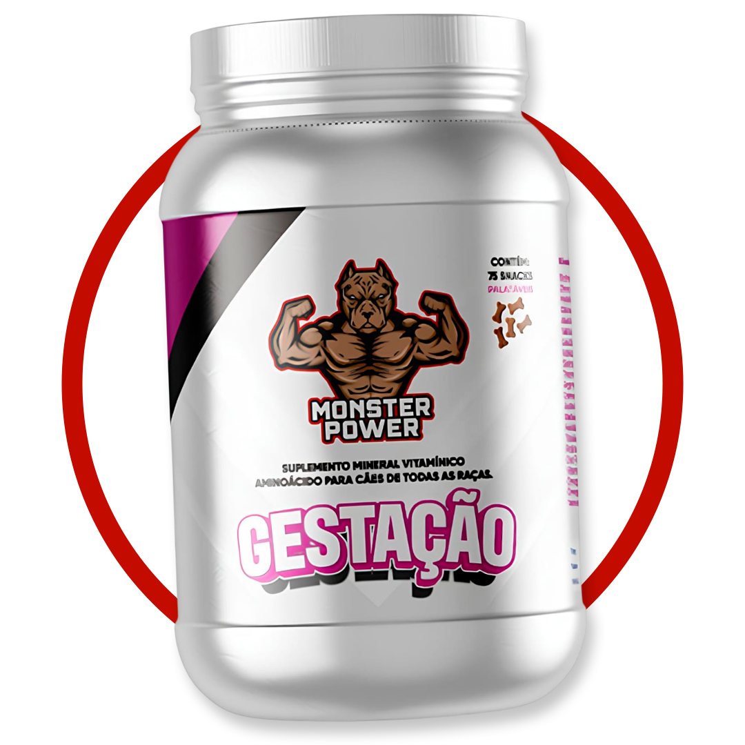 gestação